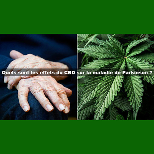 Quels sont les effets du CBD sur la maladie de Parkinson ?
