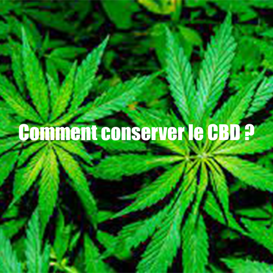 Comment conserver le CBD ?
