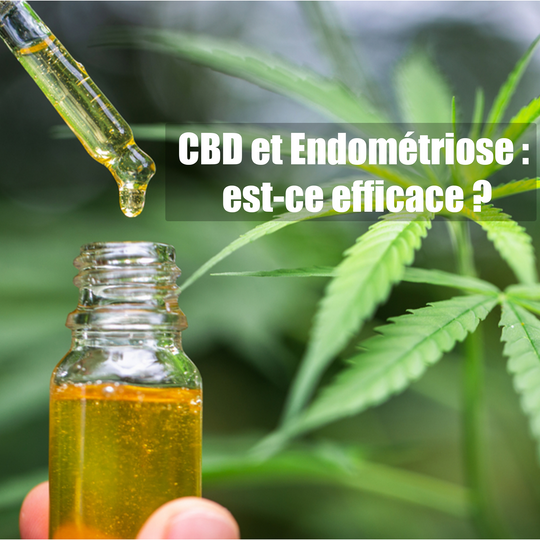 CBD et Endométriose : est-ce efficace ?