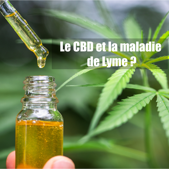Le CBD et la maladie de Lyme ?