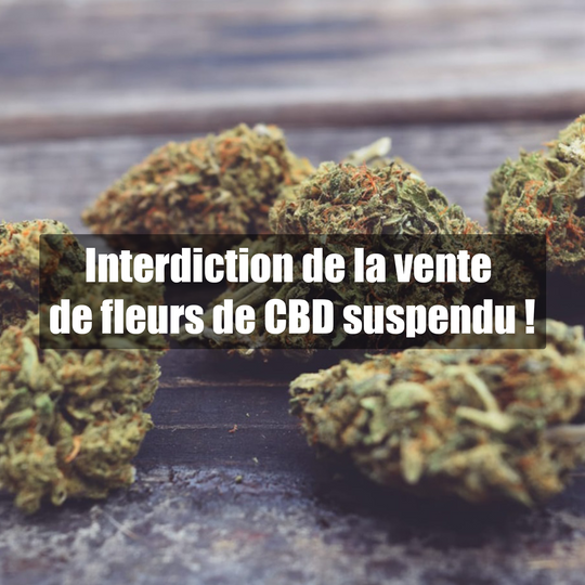 Interdiction de la vente de fleurs de CBD suspendu !
