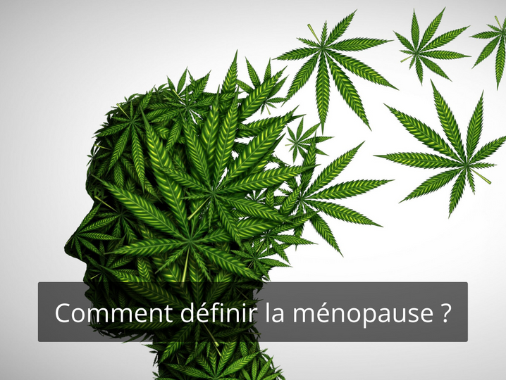 Les effets du CBD sur la mémoire !