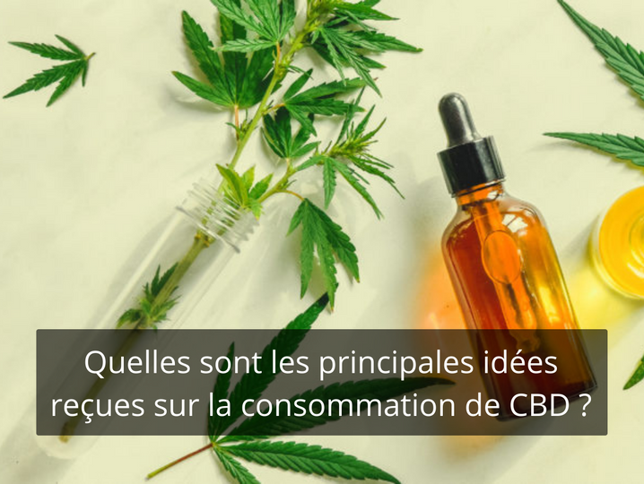 Quelles sont les principales idées reçues sur la consommation de CBD ?