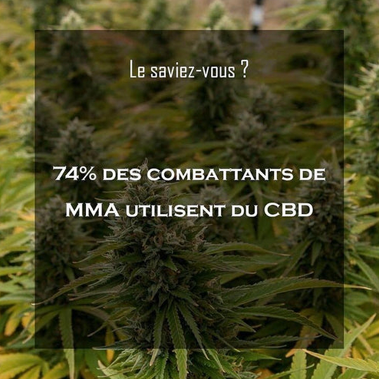 Le CBD pour améliorer ses performances physiques