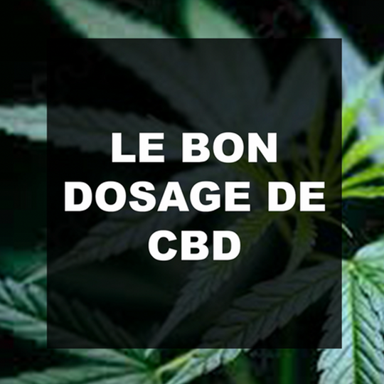 Quel est le bon dosage de CBD ?