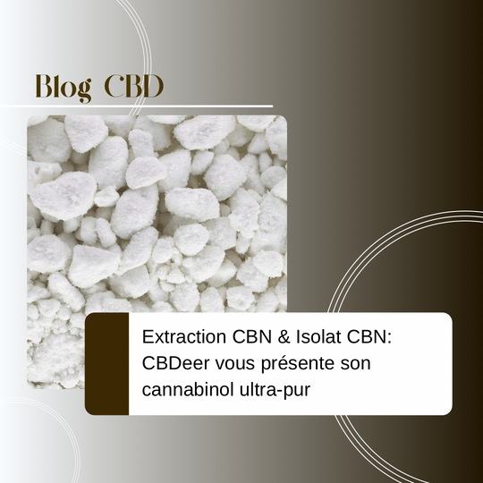 Extraction CBN & Isolat CBN : CBDeer vous présente son Cannabinol ultra‑pur
