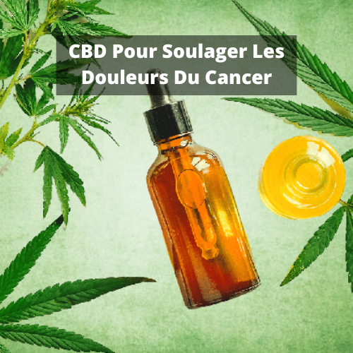 CBD Pour Soulager Les Douleurs Du Cancer