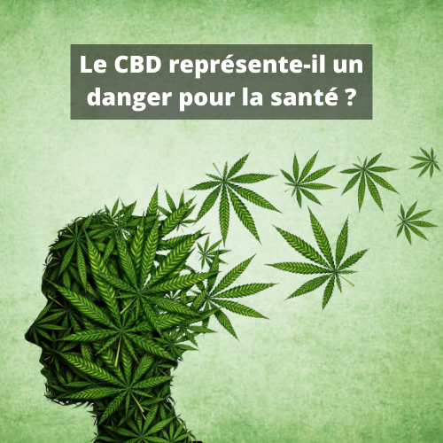 Le CBD représente-il un danger pour la santé ?