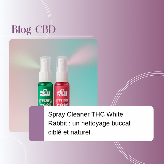 Spray Cleaner THC White Rabbit : un nettoyage buccal ciblé et naturel