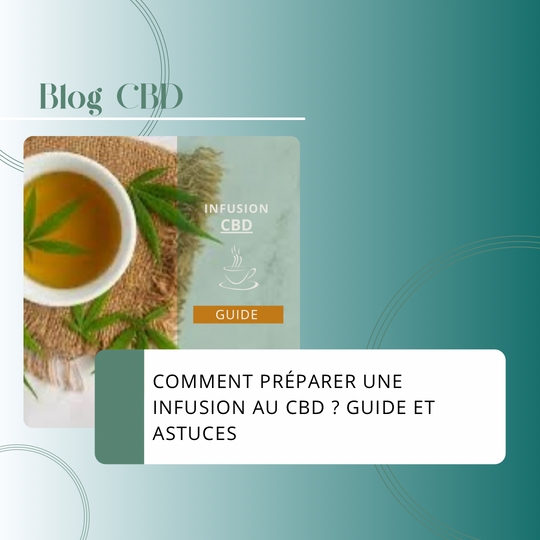 Comment Préparer une Infusion au CBD ? Guide et Astuces pour Apprécier au Mieux les Tisanes au CBD