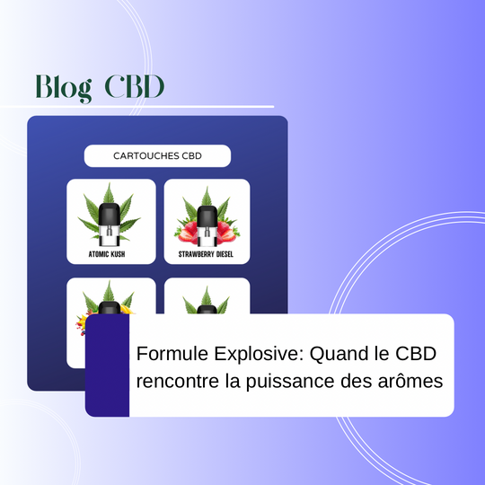 Formule Explosive : Quand le CBD Rencontre la Puissance des Arômes