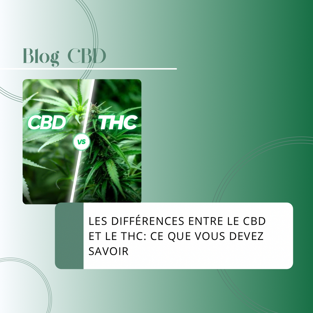 Les Différences Entre le CBD et le THC – CBDeer