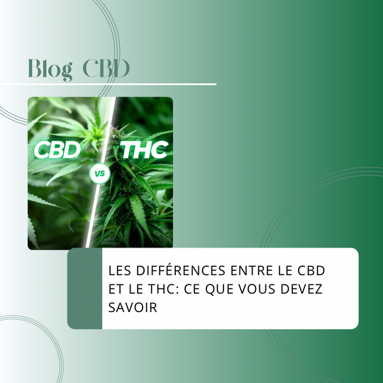 Les Différences Entre le CBD et le THC : Ce que Vous Devez Vraiment Savoir