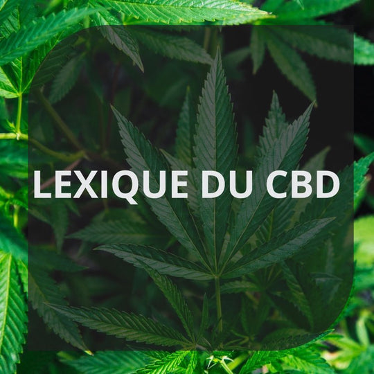 Lexique du CBD