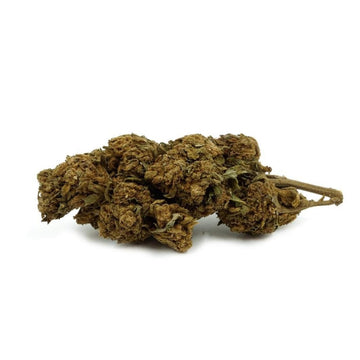 ACAPULCO GREENHOUSE CBD - CBDEER