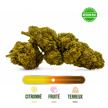 Fleur CBD Blueberry Muffin Greenhouse