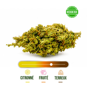 Fleur CBD California Kush Greenhouse