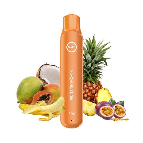 [PROMO] PACK 10 PUFFS FRUITS TROPICAUX 00MG - FLAWOOR - Premium  from FLAWOOR - Just $29.90! Shop now at CBDeer