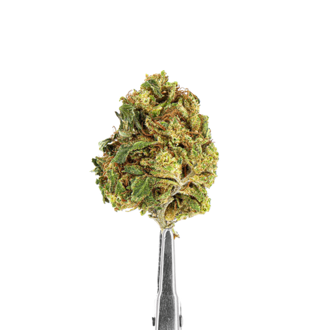 SUPER SILVER OUTDOOR CBD - CBDEER - Premium from CBDeer - Just $25! Shop now at CBDeer
