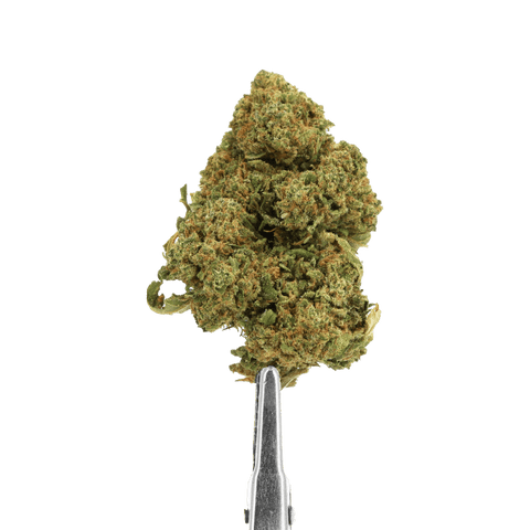 FLEUR CBD - TUTTI FRUTTI - INDOOR - Premium from CBDeer - Just $25! Shop now at CBDeer