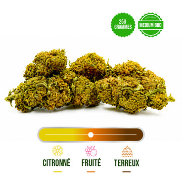 Fleur CBD Don Papa Greenhouse