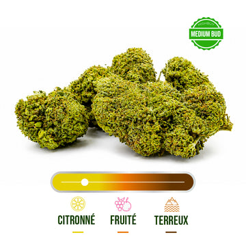 Fleur CBD Orange Bud Greenhouse