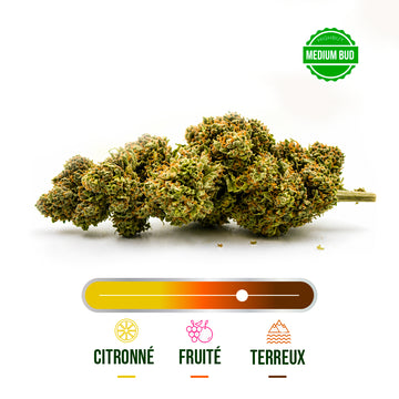 Fleur CBD White Widow Greenhouse