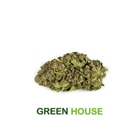 MANGO KUSH - FLEUR GREENHOUSE CBD DE LA CHÈNEVIÈRE - Premium Fleurs from LA CHÈNEVIÈRE - Just $7.63! Shop now at CBDeer