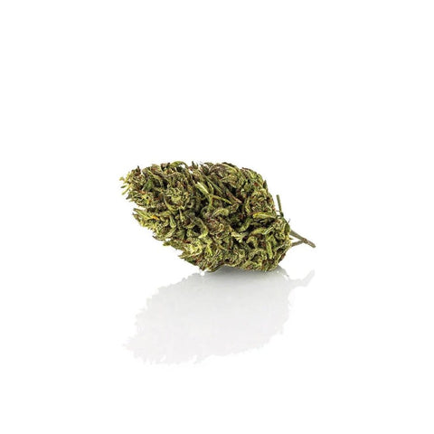 TERRA - FLEUR GREENHOUSE CBD DE CBDEER - Premium from CBDeer - Just $20.00! Shop now at CBDeer