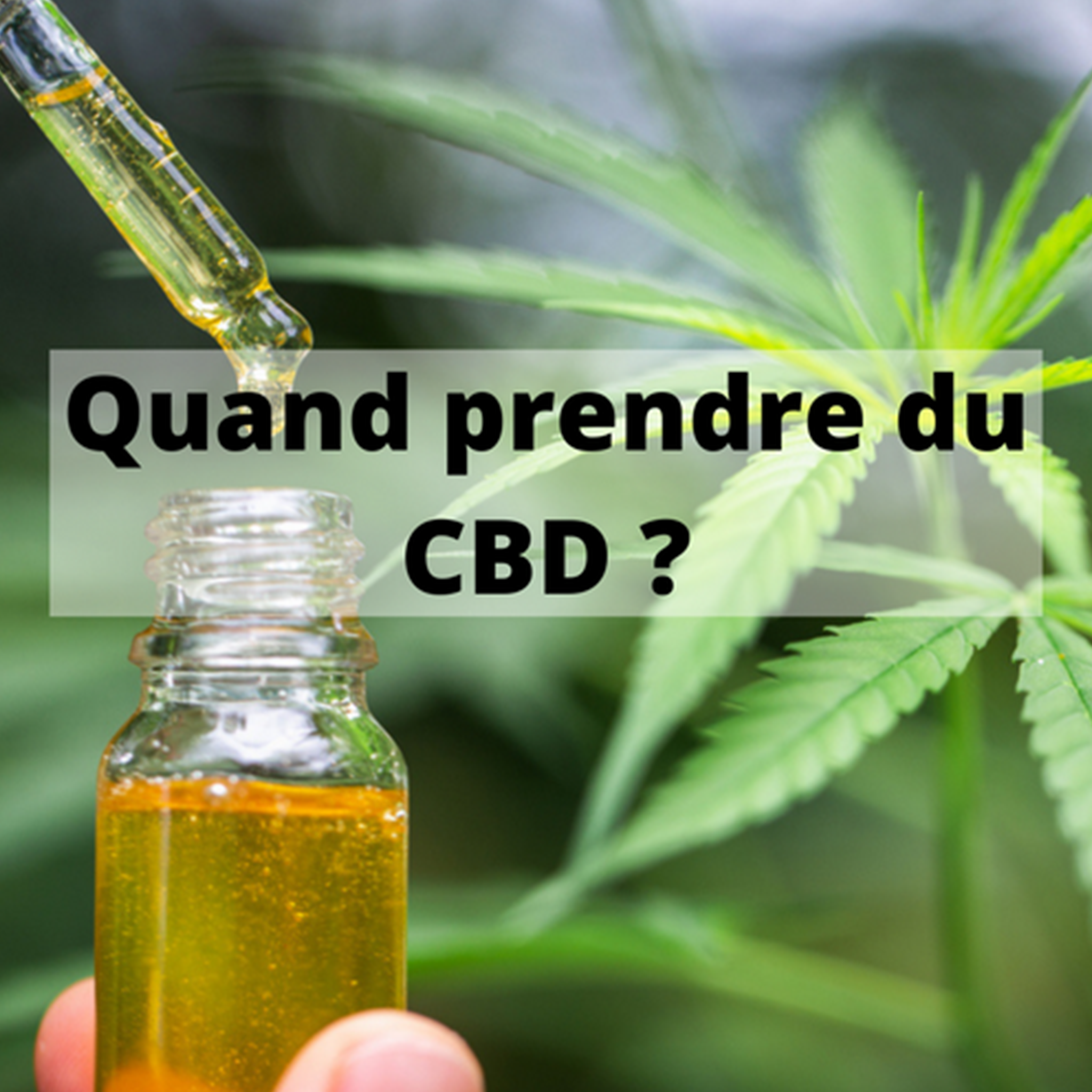 Quand Prendre Du CBD ? – CBDeer