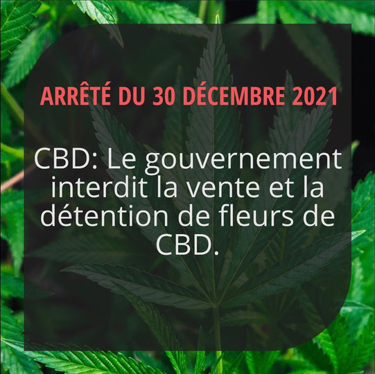 La vente et la détention de fleurs de CBD est désormais interdite en France !