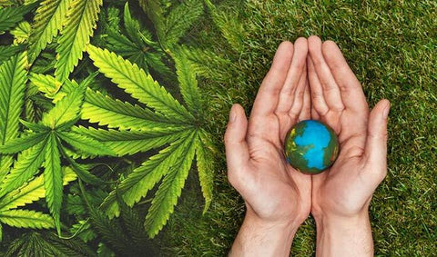 CBD et Environnement - CBDeer