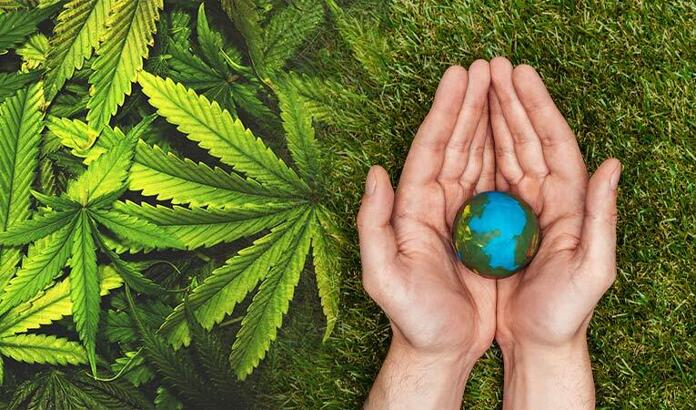 CBD et Environnement - CBDeer