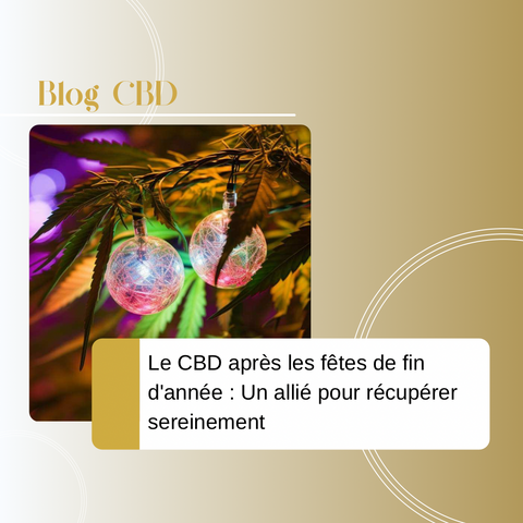 Après les fêtes de fin d'année, le CBD peut vous aider à gérer le stress, améliorer la digestion, retrouver un sommeil réparateur et recharger vos batteries. Découvrez tous les bienfaits du CBD pour commencer l'année sereinement.