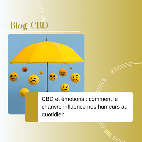 CBD et émotions : comment le chanvre influence nos humeurs au quotidien