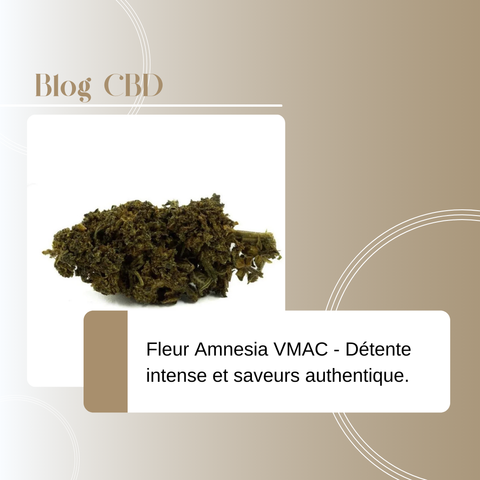 Fleur Amnesia VMAC – Relaxation Intense et Saveurs Authentiques