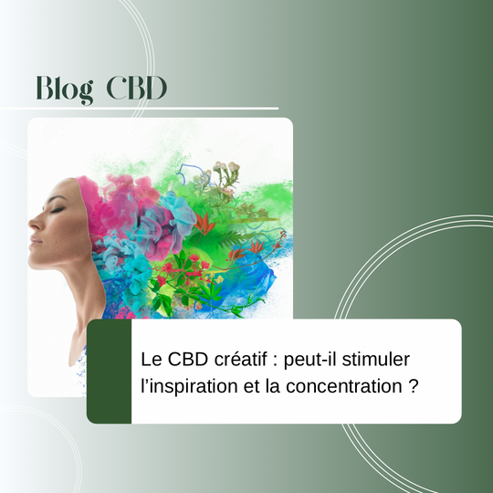 Le CBD créatif : peut-il stimuler l’inspiration et la concentration ?