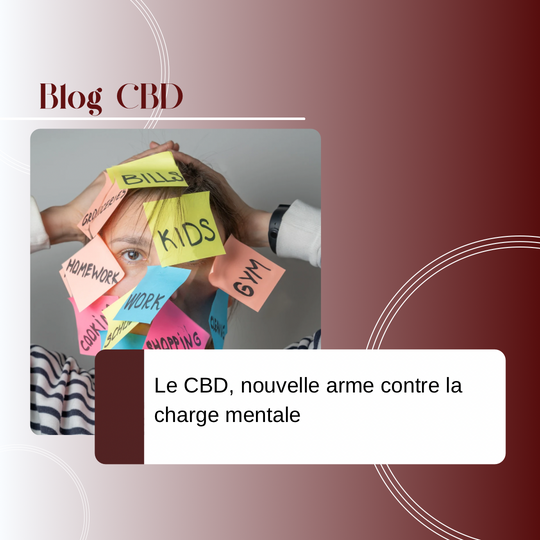Le CBD, nouvelle arme contre la charge mentale