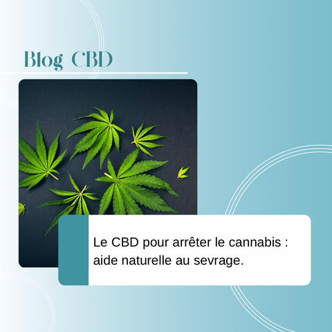 Le CBD pour faciliter le sevrage cannabique : une aide naturelle vers la libération
