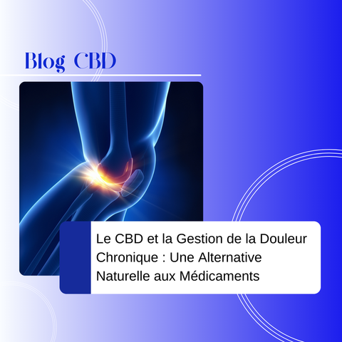 Le CBD et la Gestion de la Douleur Chronique : Une Alternative Naturelle aux Médicaments