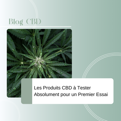 Les Produits CBD à Tester Absolument pour un Premier Essai