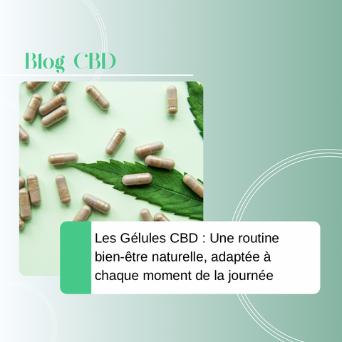 Les Gélules CBD Tengrams : Une routine bien-être naturelle, adaptée à chaque moment de la journée