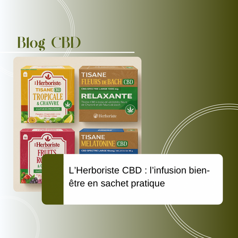 L’Herboriste CBD : l’infusion bien-être en sachet pratique