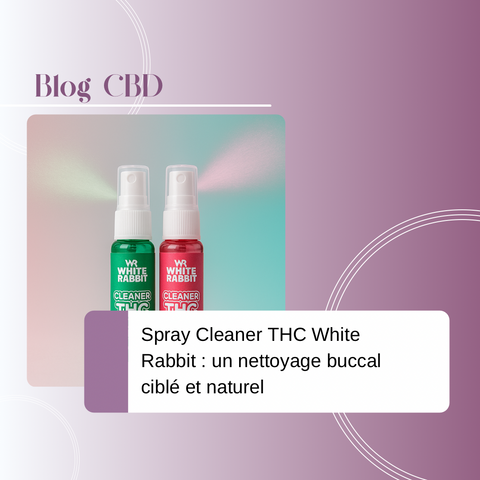 Spray Cleaner THC White Rabbit : un nettoyage buccal ciblé et naturel