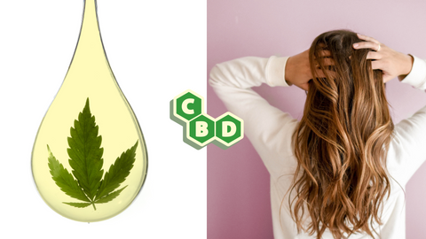 Le CBD et la Pousse des Cheveux : Mythe ou Réalité ?