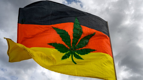 CBDEER - Légalisation du Cannabis en Allemagne : Une Réforme Évolutive