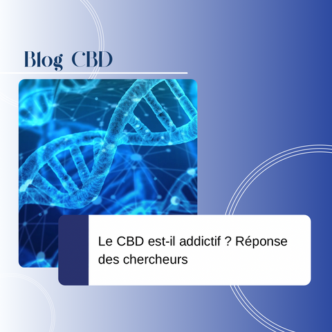 Le CBD crée-t-il une dépendance ? Découvrez ce qu’en dit la science et les recherches récentes sur le potentiel addictif (ou non) du cannabidiol.