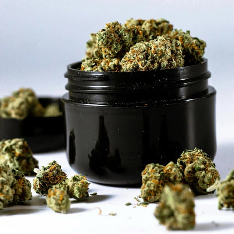 Article de blog Profitez de Nos Offres : Prix Dégressifs sur les Fleurs de CBD pour un Bien-Être Accessible