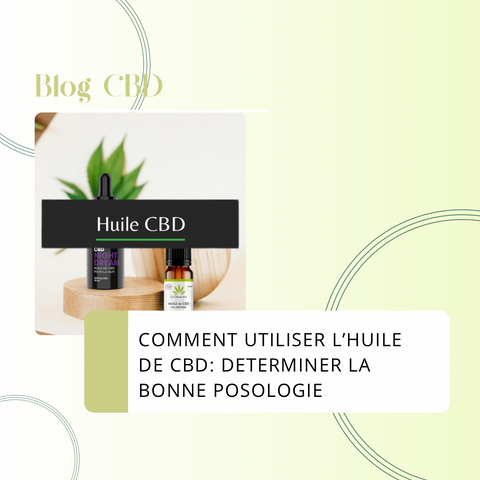 Article de blog sur l'utilisation de l'huile de cbd sur le site internet CBDeer 