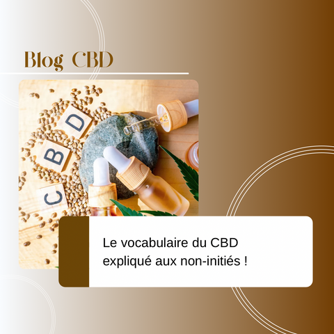Full spectrum, terpènes, cannabidiol, extraction CO2… Découvrez le lexique essentiel du CBD expliqué simplement aux non-initiés.